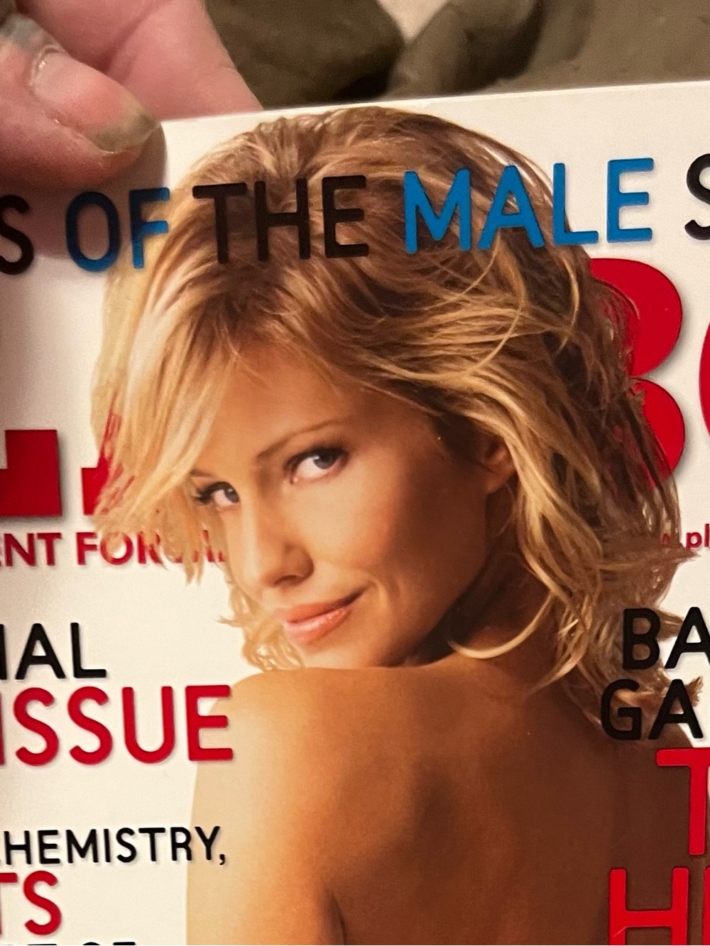February 2007 Issue Of Playboy Magazine Cover Featuring Tricia Heifer